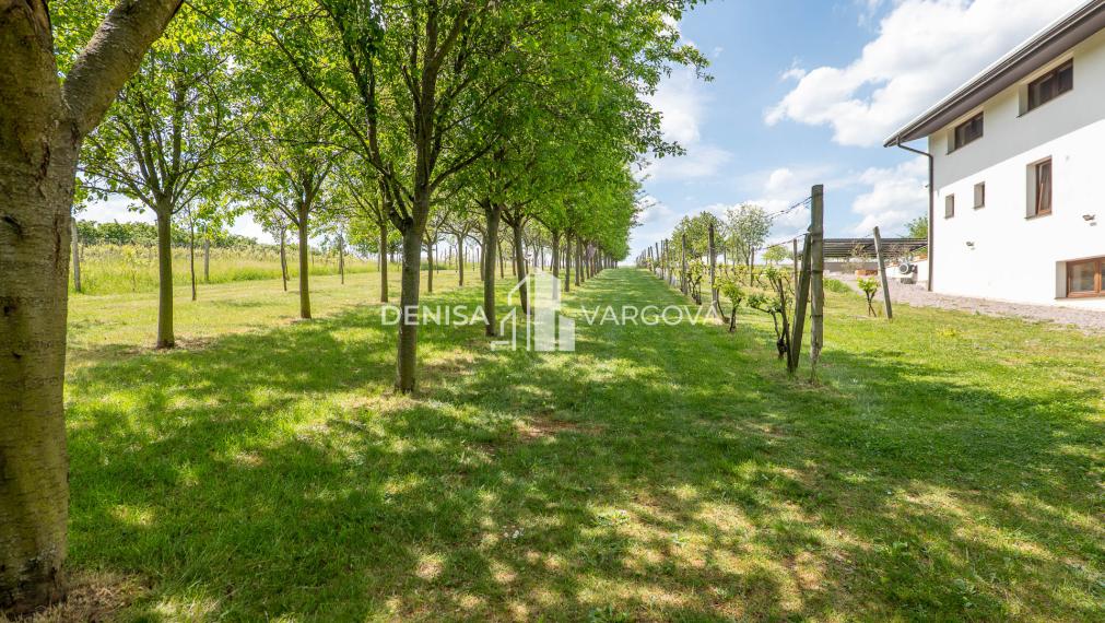 Exkluzívne rodinné sídlo s panoramatickým výhľadom - Topoľčianky