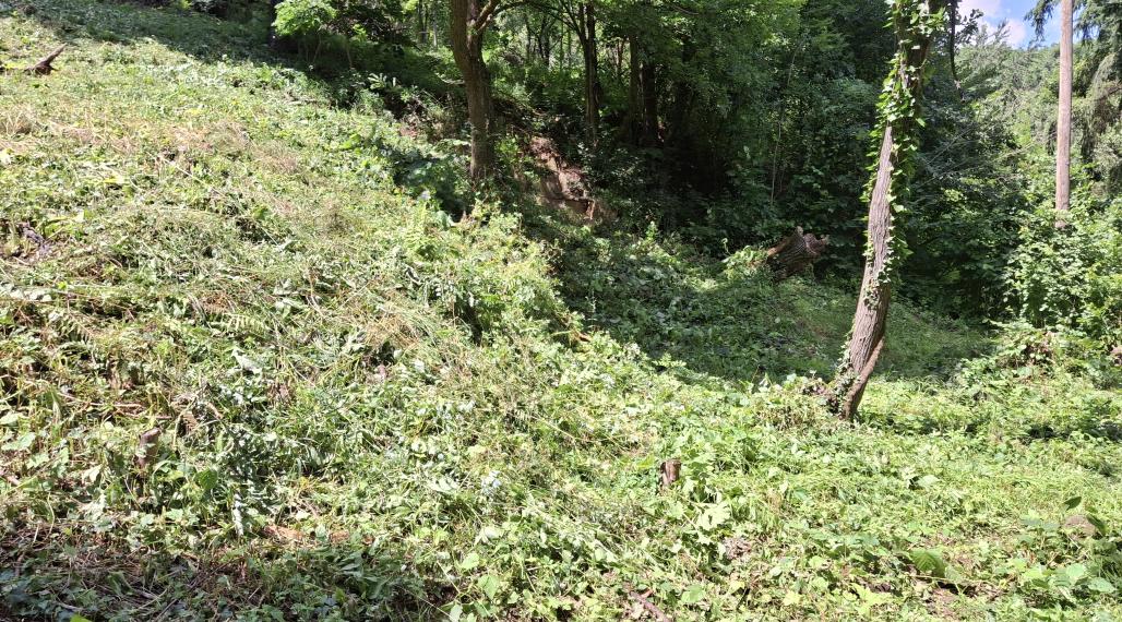 Pozemok na predaj v Banskej Štiavnici, centrum.