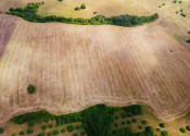 INVESTIČNÁ PRÍLEŽITOSŤ | Pozemok 65 780 m² pri Banskej Bystrici – Horná Mičiná - fotografia 1