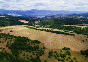 INVESTIČNÁ PRÍLEŽITOSŤ | Pozemok 65 780 m² pri Banskej Bystrici – Horná Mičiná - fotografia 4