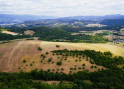 INVESTIČNÁ PRÍLEŽITOSŤ | Pozemok 65 780 m² pri Banskej Bystrici – Horná Mičiná - fotografia 3