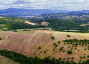 INVESTIČNÁ PRÍLEŽITOSŤ | Pozemok 65 780 m² pri Banskej Bystrici – Horná Mičiná - fotografia 5