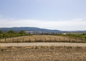 PREDAJ | Slnečný pozemok 3057 m² – Topoľčianky, okres Zlaté Moravce - fotografia 3