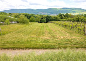 PREDAJ | Slnečný pozemok 1404 m² – Topoľčianky, okres Zlaté Moravce - fotografia 4