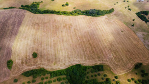 INVESTIČNÁ PRÍLEŽITOSŤ | Pozemok 65 780 m² pri Banskej Bystrici – Horná Mičiná - fotografia 1