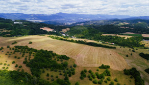 INVESTIČNÁ PRÍLEŽITOSŤ | Pozemok 65 780 m² pri Banskej Bystrici – Horná Mičiná - fotografia 4