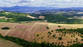 INVESTIČNÁ PRÍLEŽITOSŤ | Pozemok 65 780 m² pri Banskej Bystrici – Horná Mičiná - fotografia 5