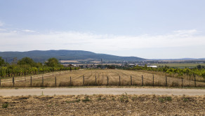 PREDAJ | Slnečný pozemok 3057 m² – Topoľčianky, okres Zlaté Moravce - fotografia 3