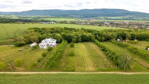PREDAJ | Slnečný pozemok 1404 m² – Topoľčianky, okres Zlaté Moravce - fotografia 6