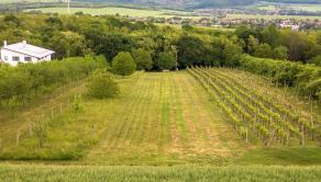 PREDAJ | Slnečný pozemok 1404 m² – Topoľčianky, okres Zlaté Moravce - fotografia 3