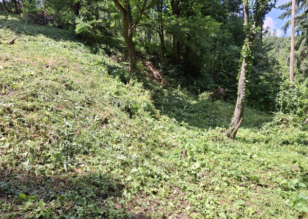 Pozemok na predaj v Banskej Štiavnici, centrum.