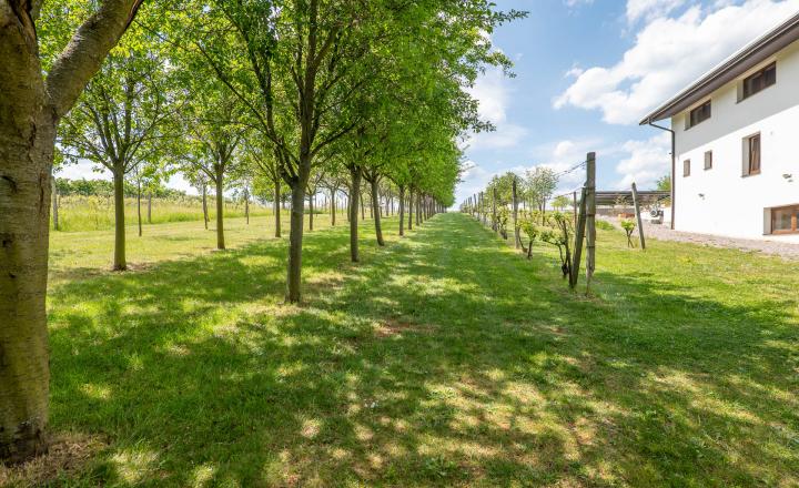 Exkluzívne rodinné sídlo s panoramatickým výhľadom - Topoľčianky - fotografia 2