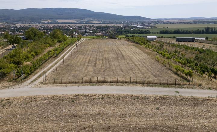 PREDAJ | Slnečný pozemok 3057 m² – Topoľčianky, okres Zlaté Moravce - fotografia 3