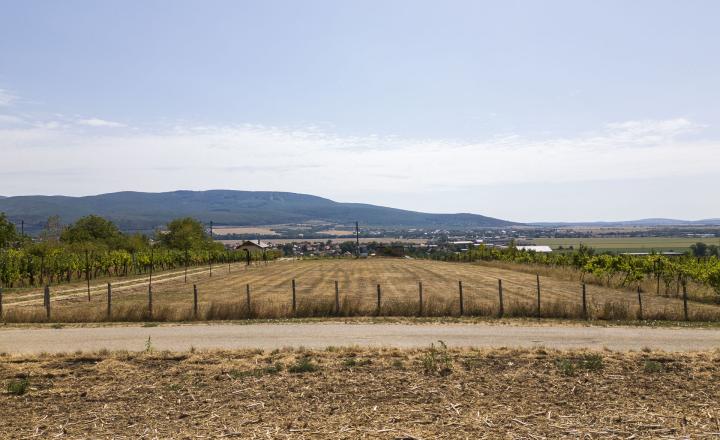 PREDAJ | Slnečný pozemok 3057 m² – Topoľčianky, okres Zlaté Moravce - fotografia 2