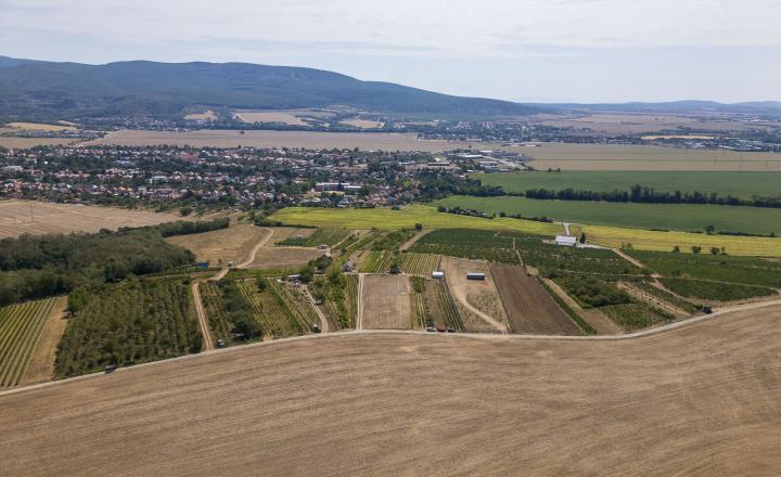 PREDAJ | Slnečný pozemok 3057 m² – Topoľčianky, okres Zlaté Moravce - fotografia 5