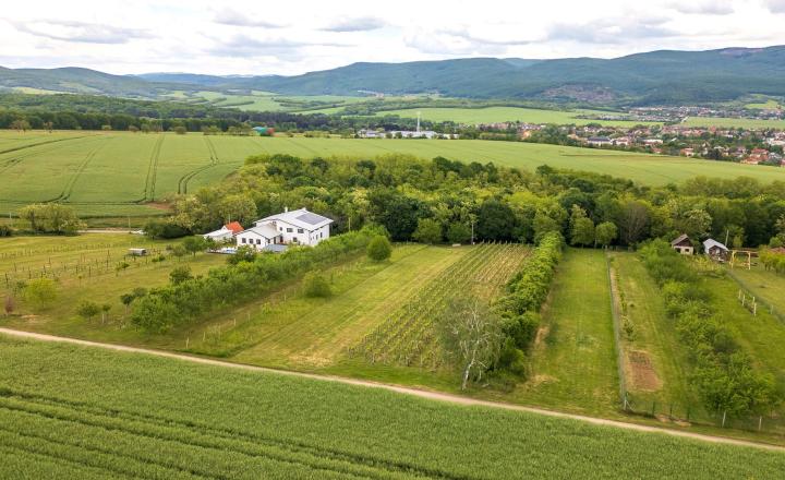 PREDAJ | Slnečný pozemok 1404 m² – Topoľčianky, okres Zlaté Moravce - fotografia 4