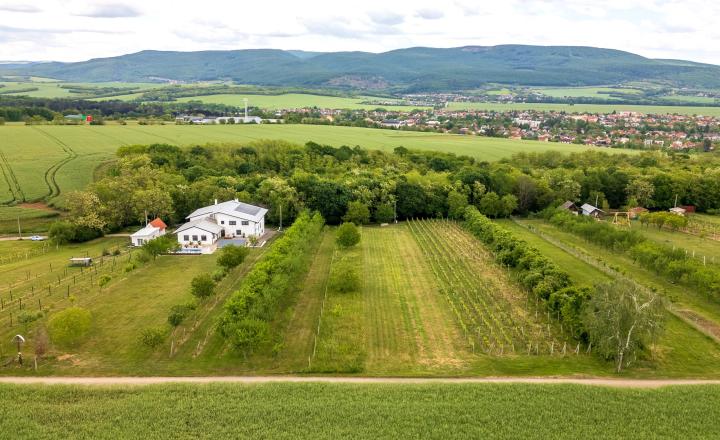 PREDAJ | Slnečný pozemok 1404 m² – Topoľčianky, okres Zlaté Moravce - fotografia 5